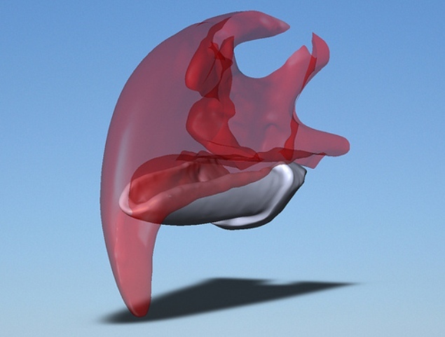 Ce poţi face cu o imprimantă 3-D? Poţi “repara” un animal mutilat