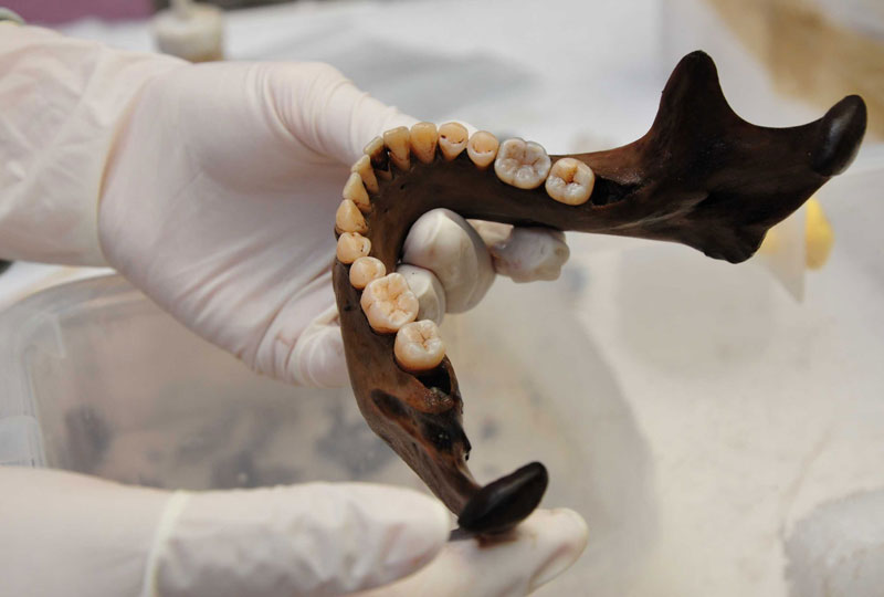 Descoperire macabră: rămăşiţele unui ritual aztec brutal au fost găsite în Ciudad de Mexico