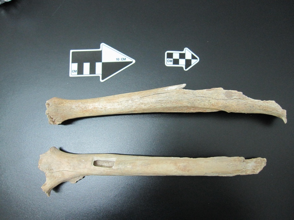 Acum 40.000 de ani, chinezii deja se diferenţiau de europeni / Credit foto: MPI for Evolutionary Anthropology