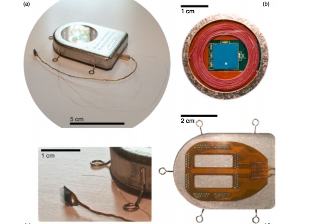„Telefonul mobil din creier”: dispozitivul care permite transmiterea semnalelor cerebrale woreless