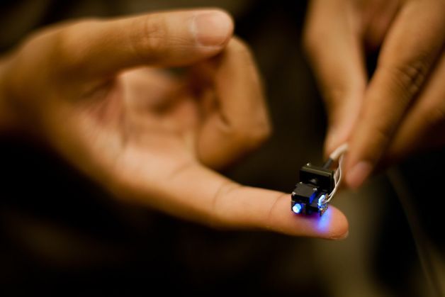 Oamenii de ştiinţă au reuşit să citească minţile şoarecilor 