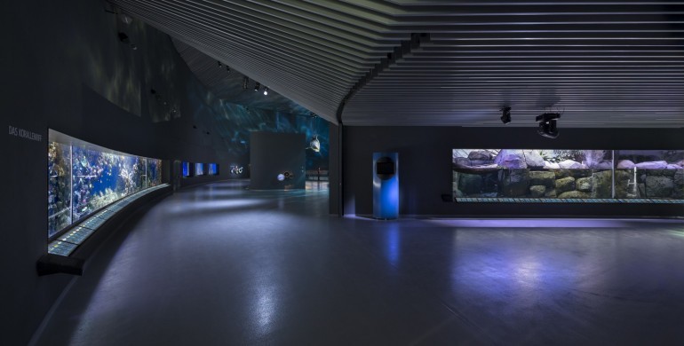 The Blue Planet: cel mai mare acvariu din Europa de Nord