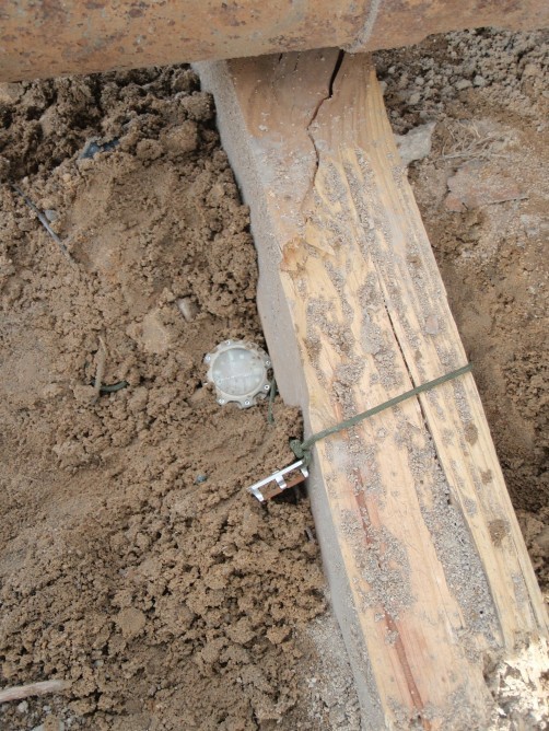 Ceasul care rezistă la unul dintre cei mai puternici explozibili, noua invenţie a germanilor