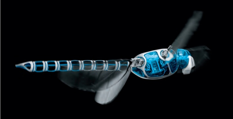 BionicOpter: libelula gigant care spionează 
