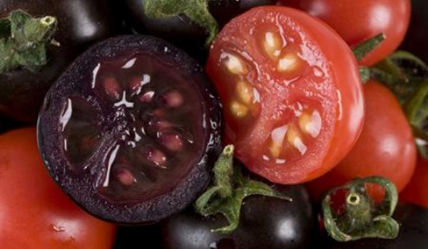 Prospeţime îndelungată şi gust mai bun: ce mai iubită legume este pe cale de a deveni şi mai atrăgătoare