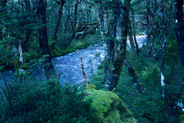 Cum arată lacul cu cea mai limpede apă din lume? 