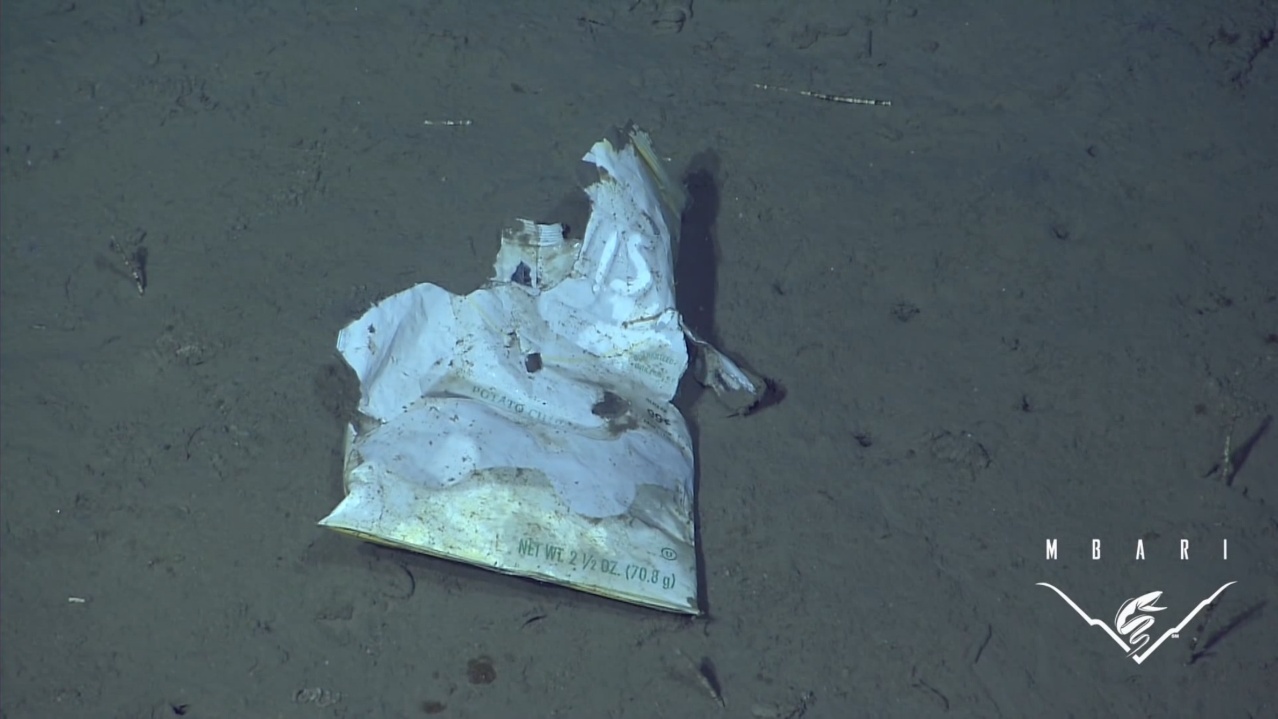 Imagini frapante: 18.000 de ore de fimări surprind gunoiul pe care noi îl aruncăm în oceane