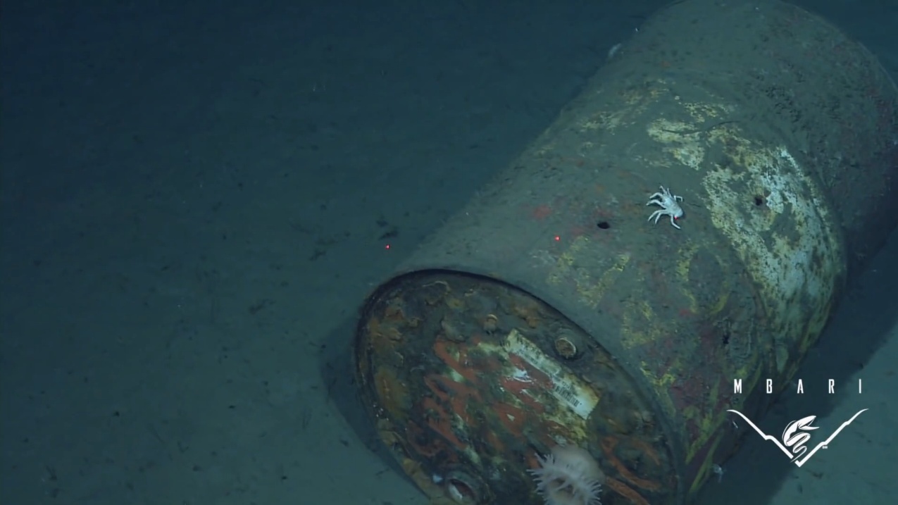 Imagini frapante: 18.000 de ore de fimări surprind gunoiul pe care noi îl aruncăm în oceane