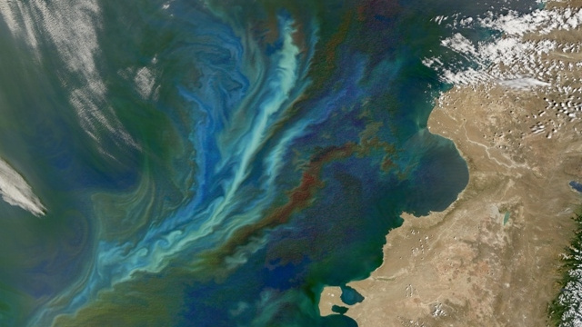 Plancton creat prin geoinginerie