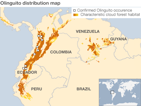 Zonele în care trăieşte olinguito