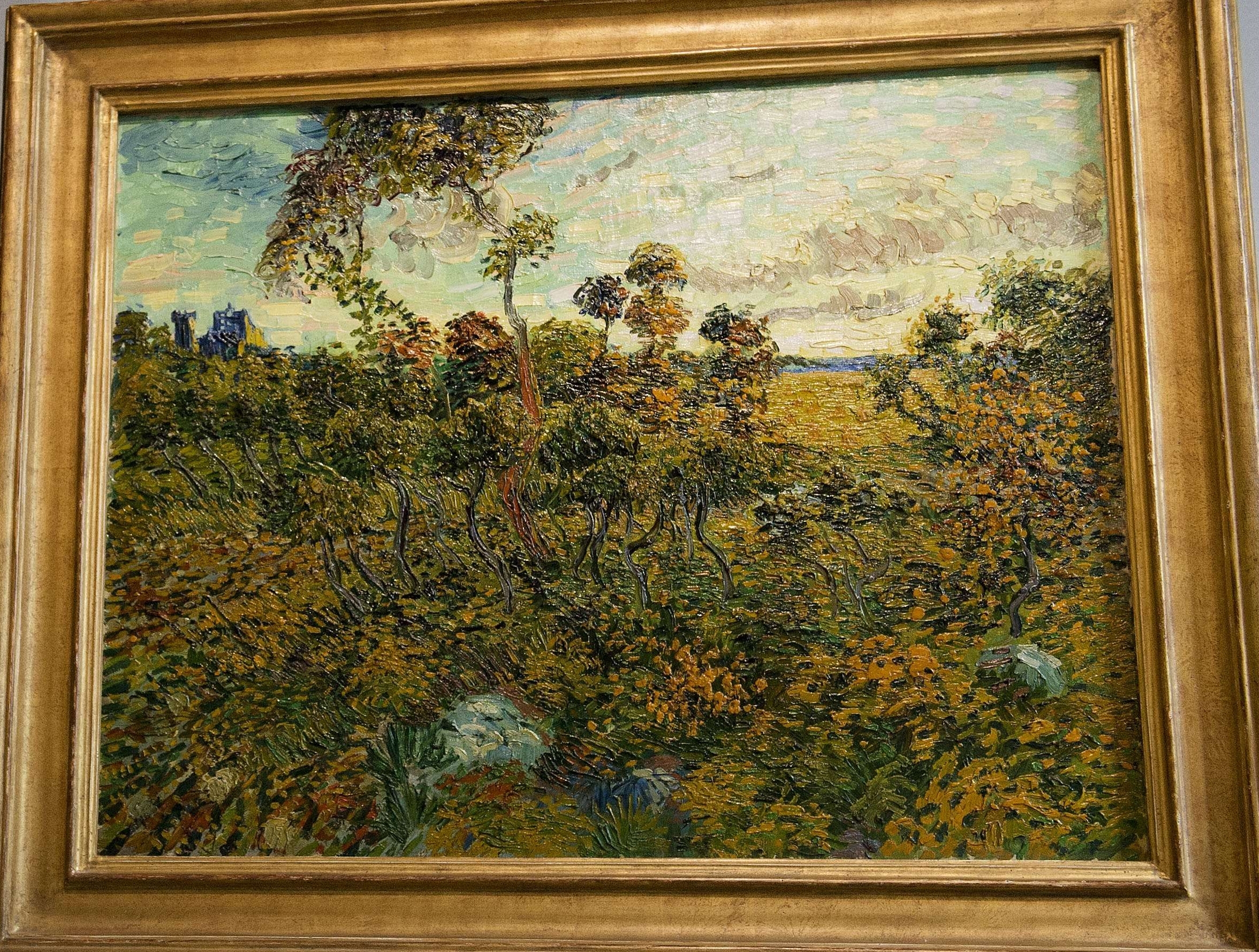 „Asfinţit la Montmajour”