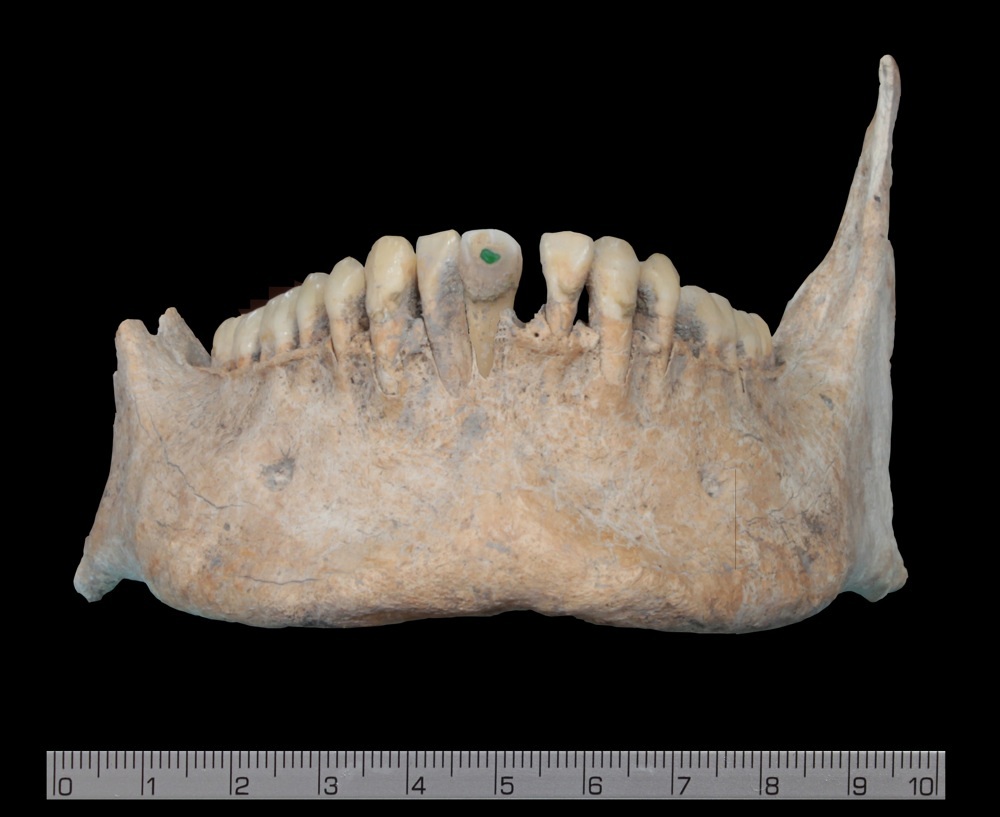 Unele dintre cadavre aveau decoraţii din jad pe dinţi, lucru care susţine ideea că victimele de la Uxul au fost nobili