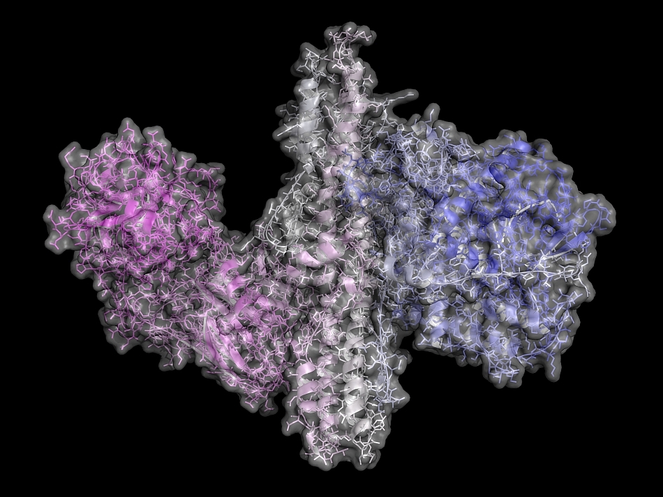 A fost descoperită una dintre cele mai otrăvitoare toxine din istorie, fără antidot, ce poate ucide milioane de oameni