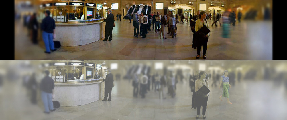 Cum văd pisicile: imaginile care surprind lumea prin ochii lor (GALERIE FOTO)