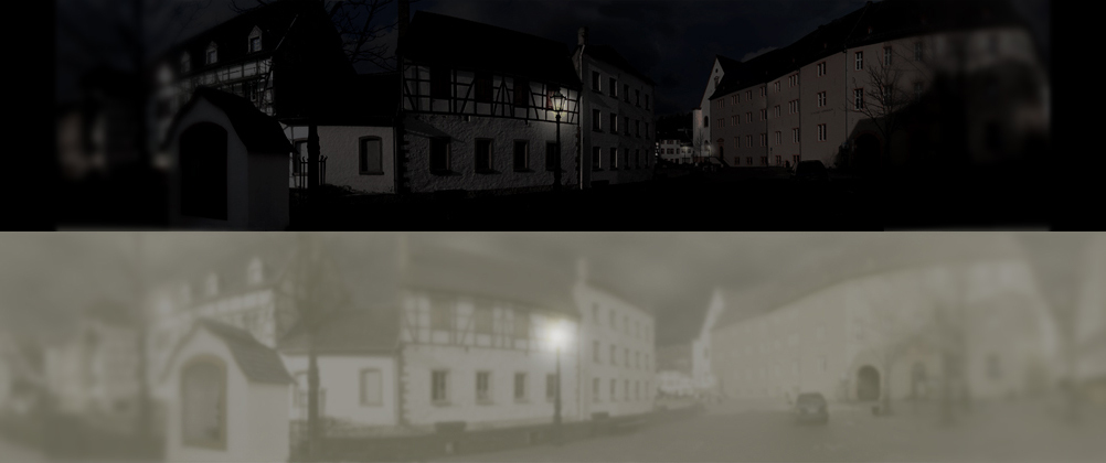 Cum văd pisicile: imaginile care surprind lumea prin ochii lor (GALERIE FOTO)