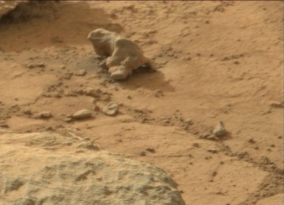 „Iguana marţiană” - suprinsă în timp ce „se uita„ spre stânga