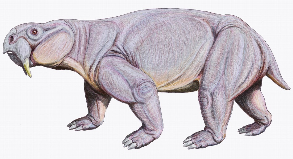  Dinodontosaurus, un animal preistoric similar rinocerului,