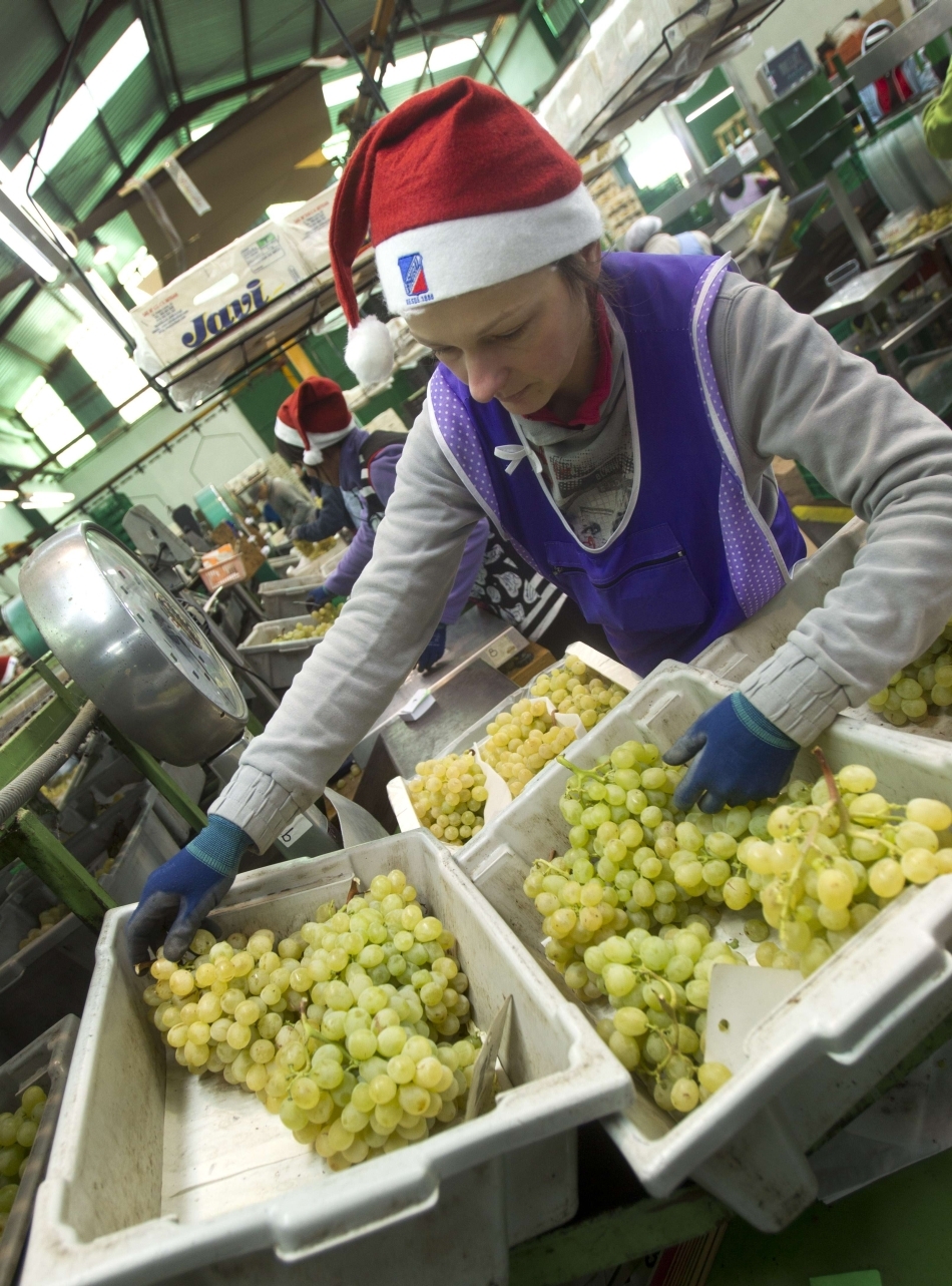 Spaniolii mănâncă 12 struguri Vinalopo atunci când ceasul vesteşte trecerea în noul an