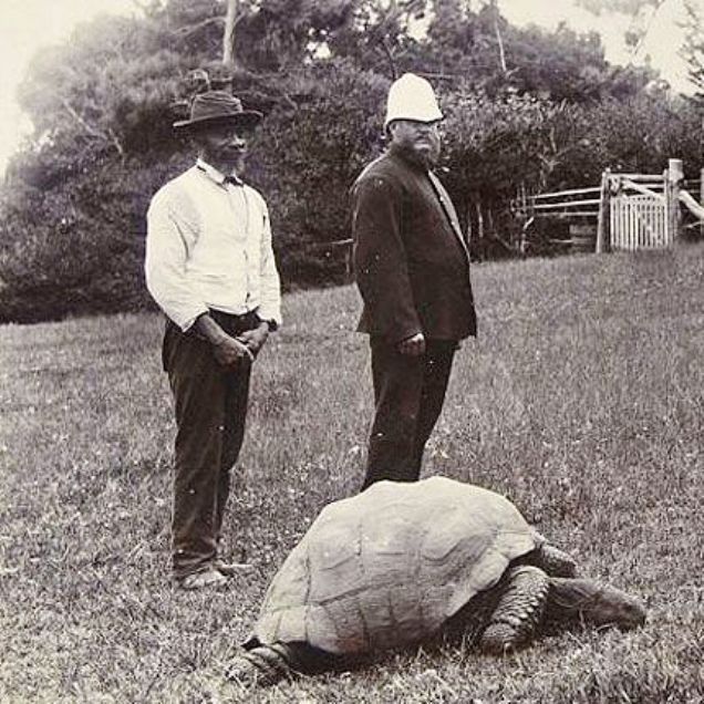 O fotografie datând din jurul anului 1900, în care apare Jonathan.