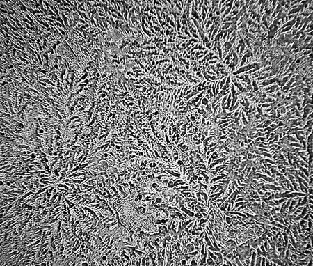 Lacrimi produse când se taie ceapa