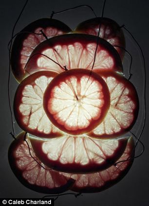 Bucăţi de grepfrut