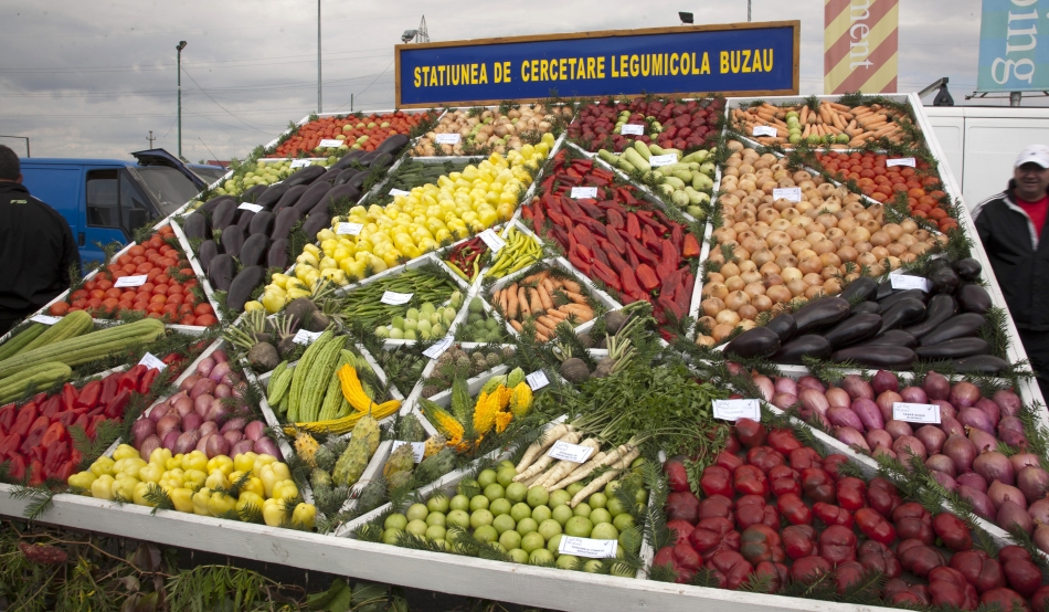 Pepene cu gust de coniac, castravete pentru diabet sau ardei iute folosit doar pentru spray lacrimogen sunt cultivate de cercetătorii de la Staţiunea de Cercetare Legumicolă Buzău, care se plâng că nu au bani pentru omologarea produselor, ceea ce ar permite vânzarea lor, iar soiurile se pierd.