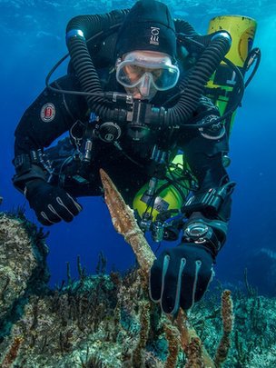 Suliţa de bronz descoperită pe epavă