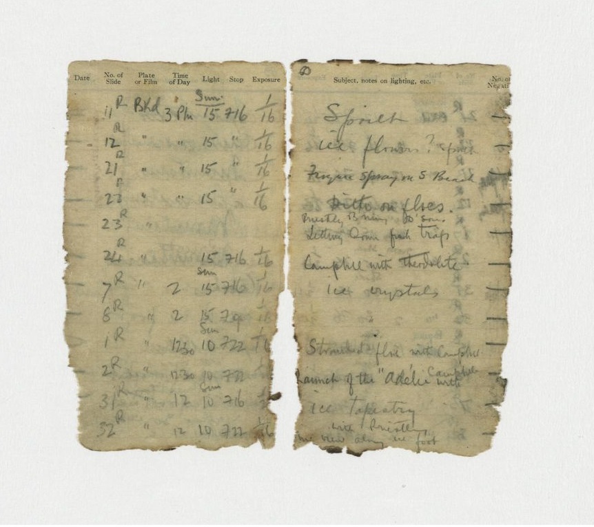 Câteva pagini din caietul fotografului Levick