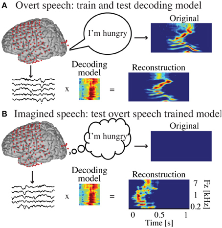 Semnalele neuronale observate în timpul vorbirii cu voce tare (sus) şi în gând (jos)