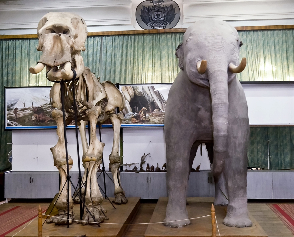 FOTO: Cătălin Hopulele/Mediafax Foto