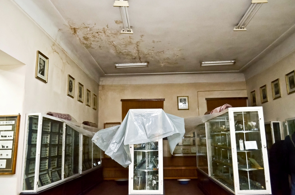 FOTO: Cătălin Hopulele/Mediafax Foto