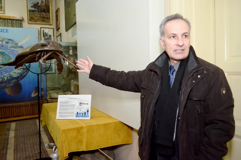 FOTO: Cătălin Hopulele/Mediafax Foto