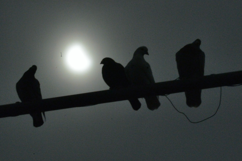 FOTO: Codrin Prisecaru/Mediafax Foto