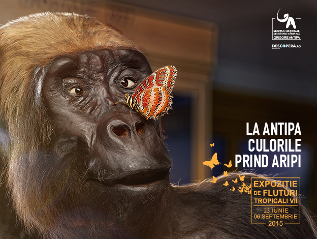 FOTO: Muzeul Naţional de Istorie Naturală Grigore Antipa