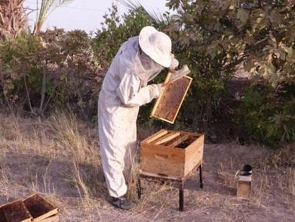 ISIS a dat publicităţii o broşură turistică.  Cu ce îi îmbie jihadiştii pe turişti