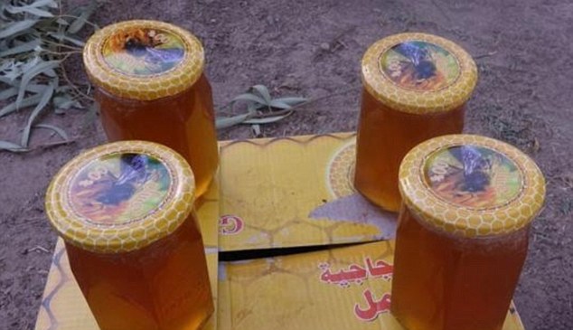 ISIS a dat publicităţii o broşură turistică.  Cu ce îi îmbie jihadiştii pe turişti