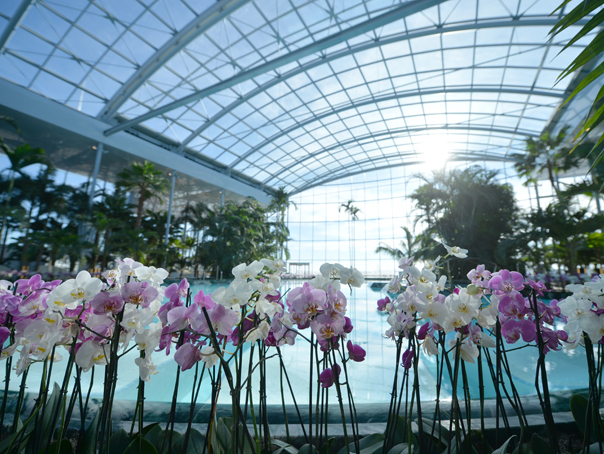 THERME Bucureşti, cel mai mare centru din Europa de wellness, în apropiere de Bucureşti