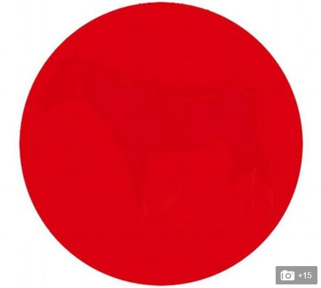 Cerc vizual cerc roșu, Glosar de termeni