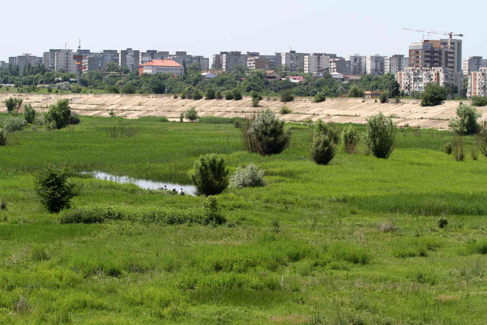 Parcul Natural Văcăreşti