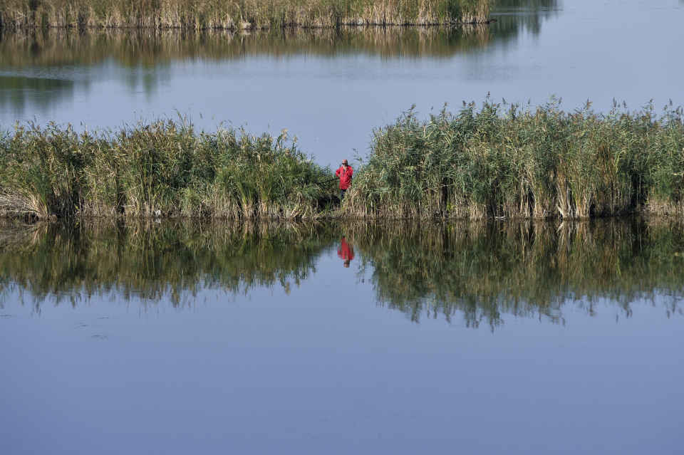 Parcul Natural Văcăreşti