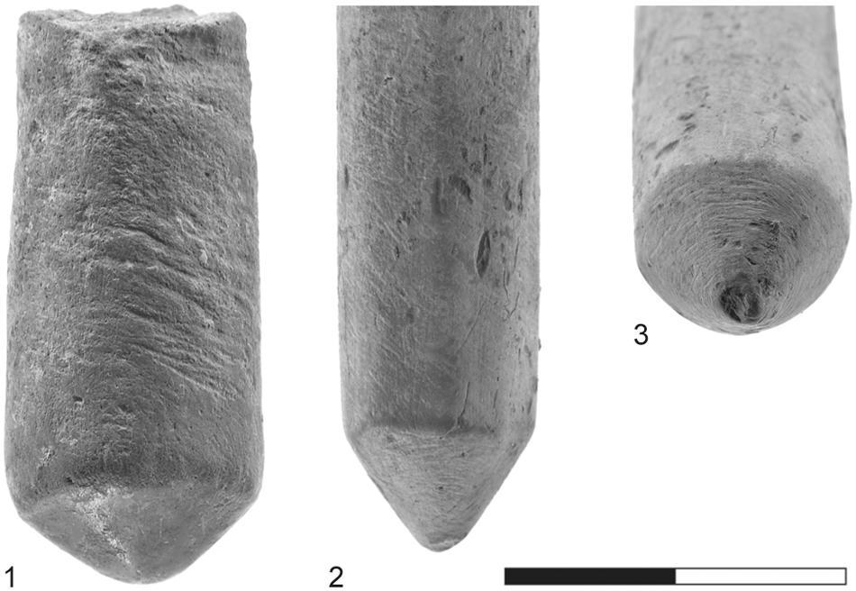 Să fie acestea cele mai vechi „chibrituri” din lume?
