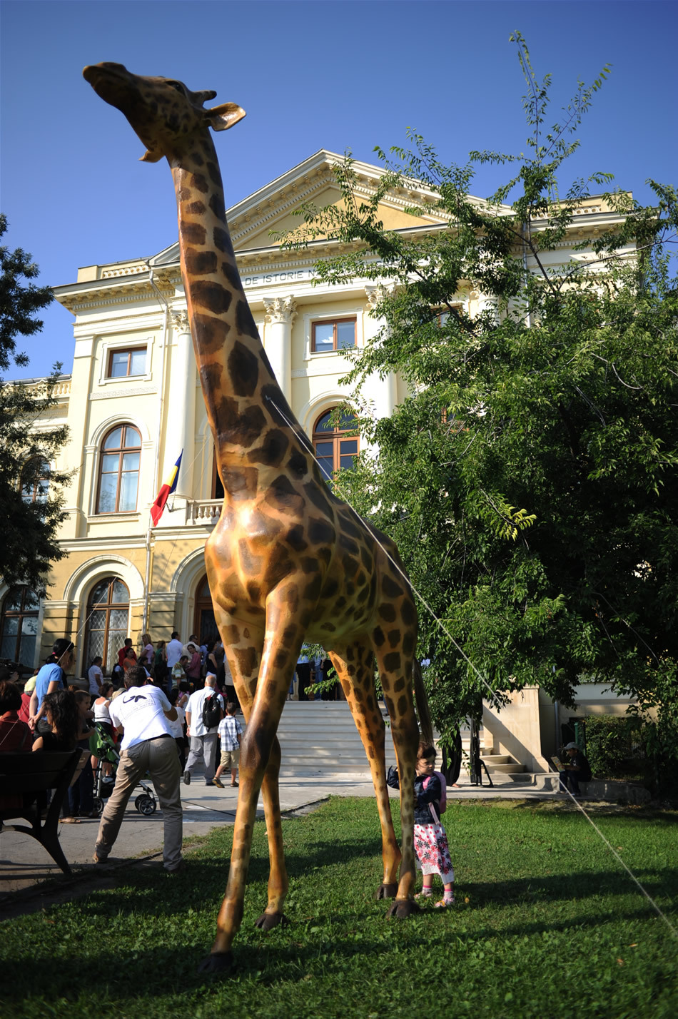 Girafa are nevoie de nişte Lei!