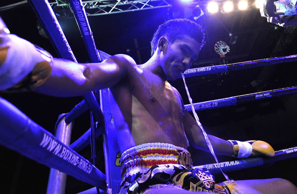 Muay Boran - Arta Regilor Thailandezi