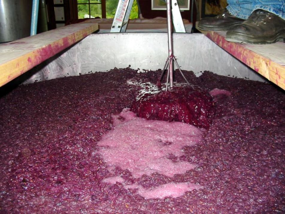 Drojdia de bere - cea mai bună prietenă a omului?