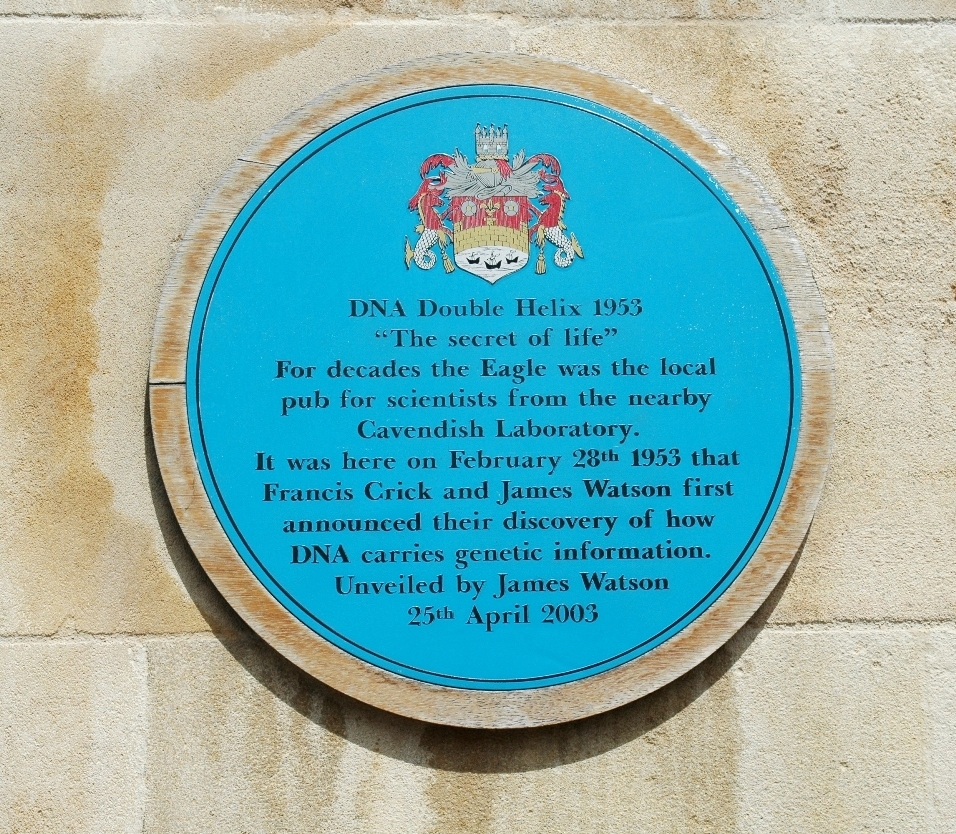 Placa aşezată pe peretele localului 