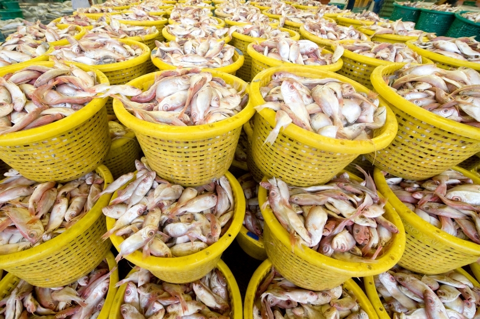 Detaliu dintr-o piaţă de peşte din Franţa