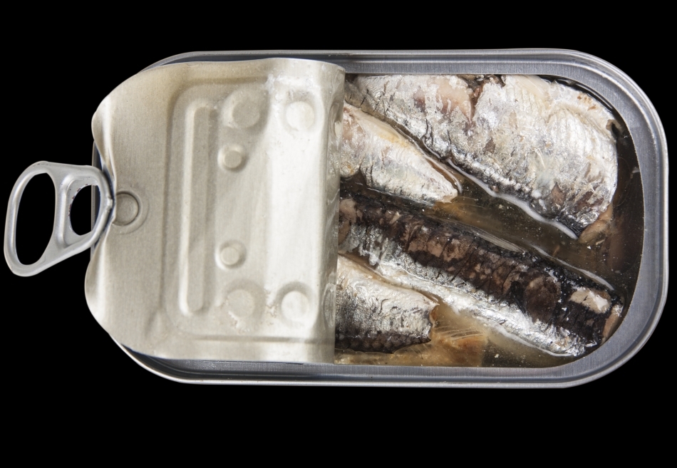 O conservă de sardele