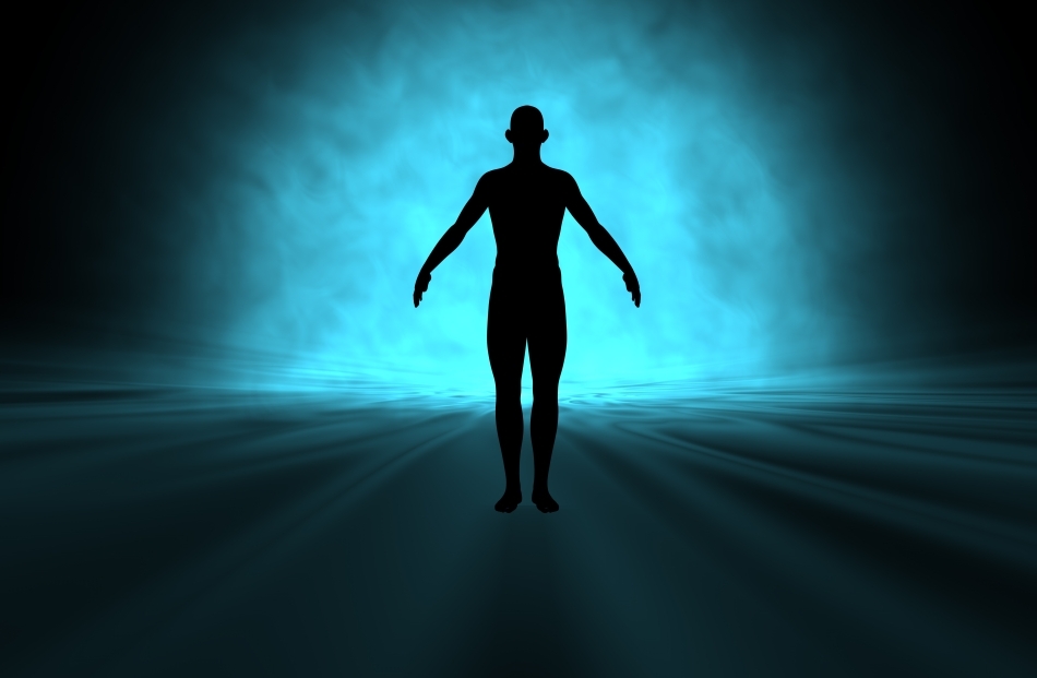 Corpul uman este o colecţie de soluţii de compromis, menite să împace cerinţe diferite.