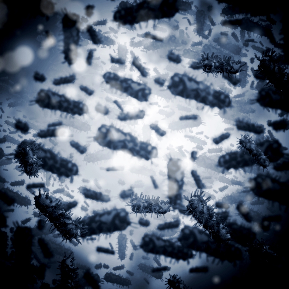 Lumea noastră e o lume a bacteriilor: nenumărate specii - dintre care prea puţine au fost studiate - populează cele mai diverse ecosisteme. 