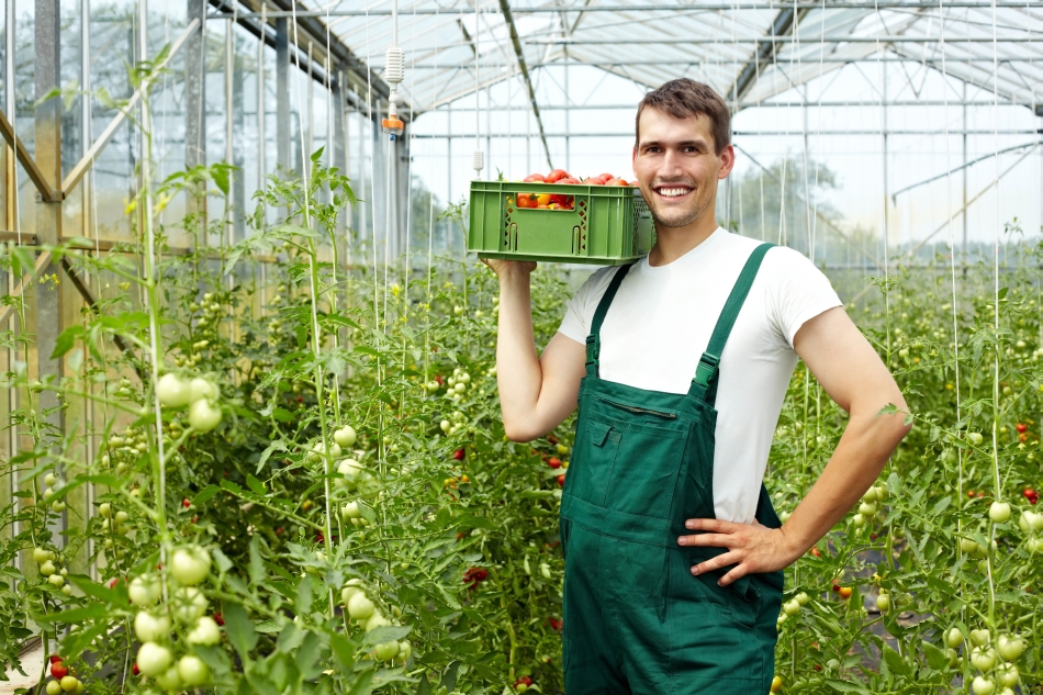 Omenirea se găseşte în pragul unui salt 
tehnologic ce promite să ne schimbe viaţa.